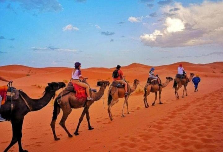 Desert Berber Fire Camp Merzouga Eksteriør billede